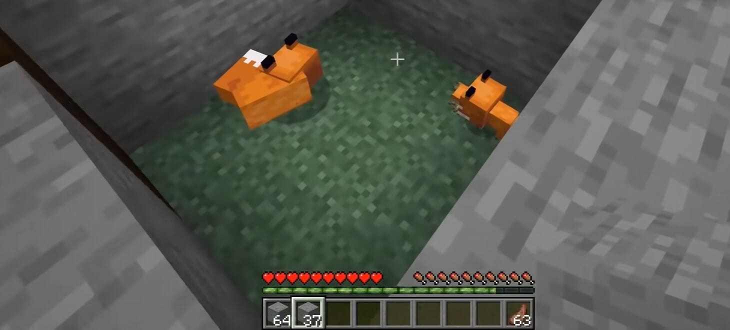 Gehege für Füchse in Minecraft