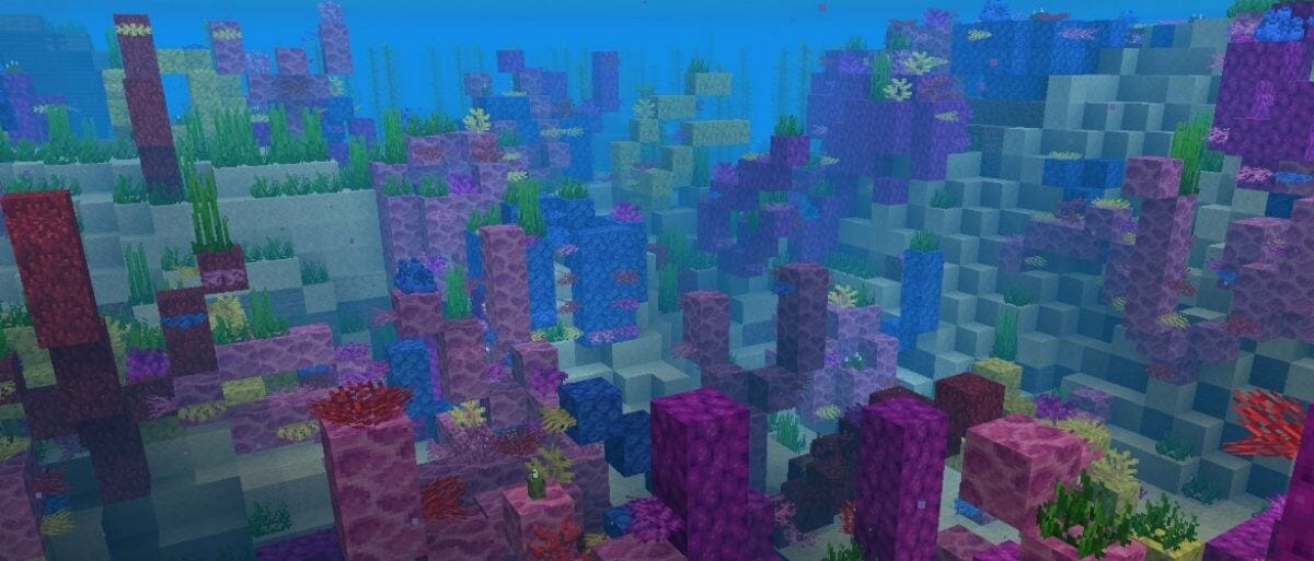 Ozean Minecraft