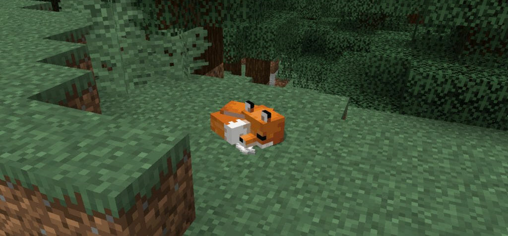 Schlafender Fuchs in Minecraft