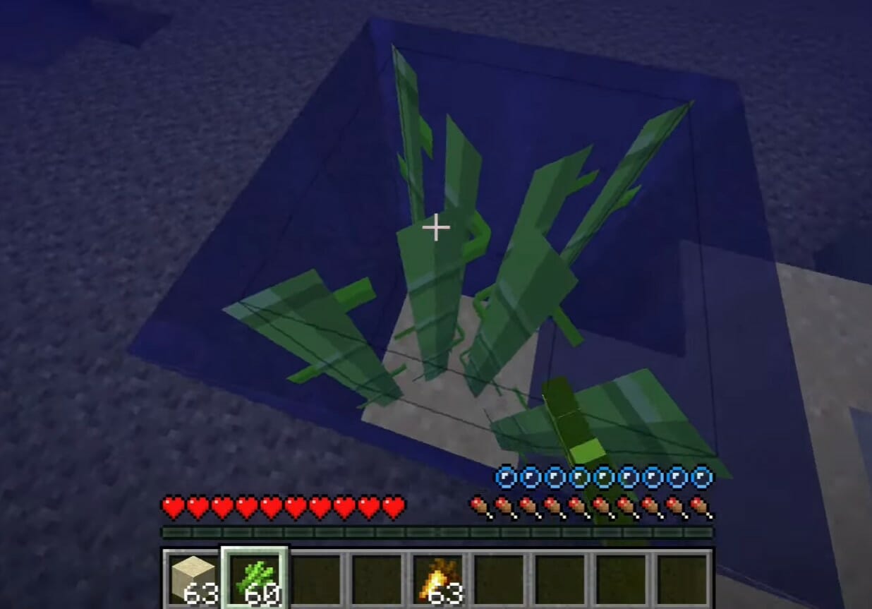 Zuckerrohr unter Wasser Minecraft