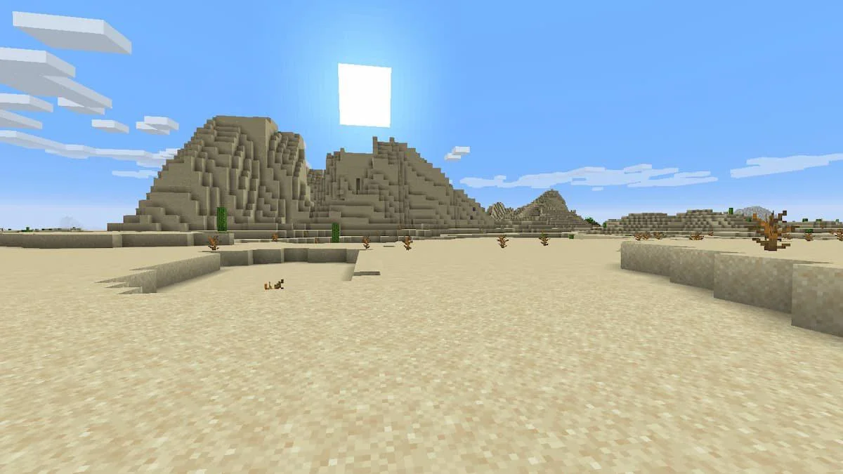 Wüste Minecraft