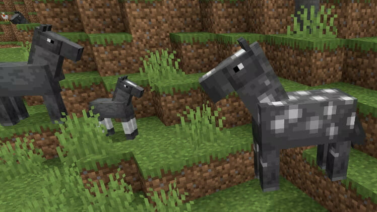 Pferde Minecraft