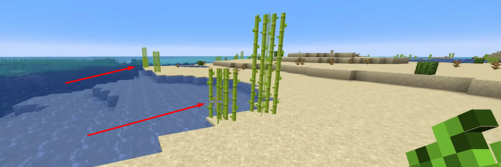 Zuckerrohr in Minecraft entlang des Ufers