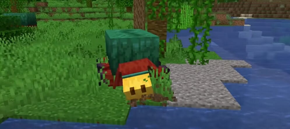 Ein Schnüffler in Minecraft schnüffelt
