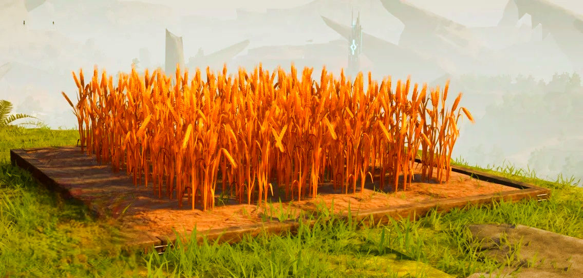 Ein Weizenfeld in Palworld